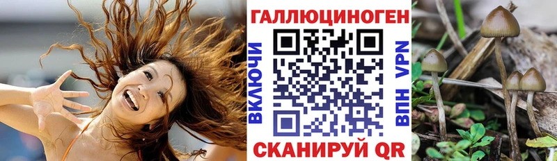 купить   кракен   Галлюциногенные грибы Cubensis  Агрыз 